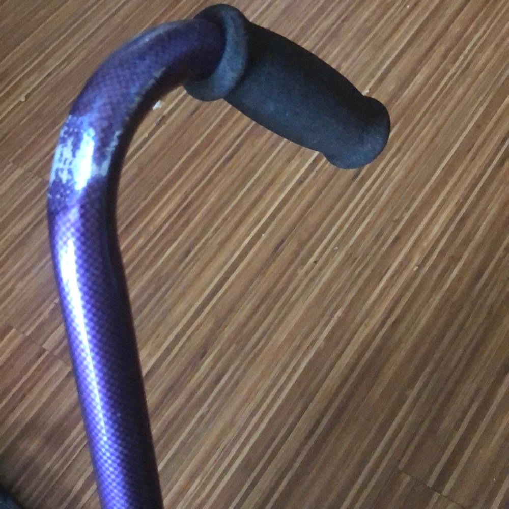 Cane - Picture 6 of 7